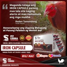 pitcobra226.com|Premium Gamefowl and Racing Pigeon Products .